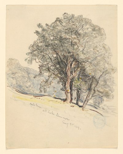 Lake Dunmore, Vermont'ta Meşe Ağaçları Çalışması by Samuel Colman