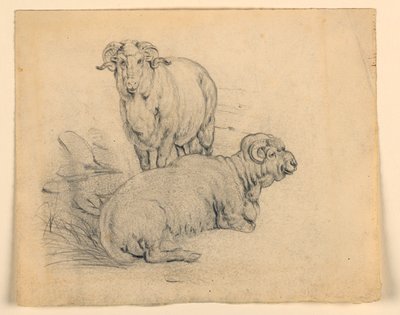 İki Ram Çalışması by Samuel Colman