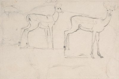 İki Ayakta Pallah Geyiği Çalışması by Samuel Daniell