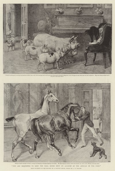 Jesús sem ungur drengur - Biblía by Samuel Edmund Waller