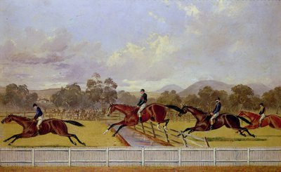engelli koşu by Samuel Henry Alken