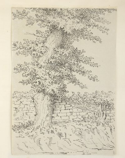 Ekle. MS 15546 Bedminster