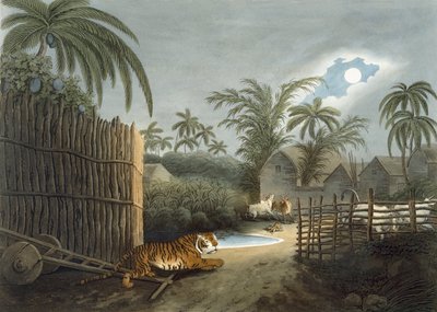 Thomas Williamson