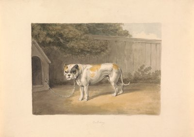 Bir Buldok by Samuel Howitt
