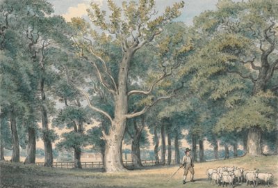 Çoban ve Koyunlu Bir Park Manzarası by Samuel Howitt