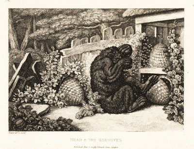 Bir arı ordusu tarafından saldırıya uğrayan bir boz ayı. 1811 (gravür) by Samuel Howitt