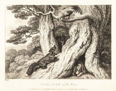 Köpek uyurken, ağaçtaki horoz tilkiyi kurnazlıkla alt eder. 1811 (gravür) by Samuel Howitt