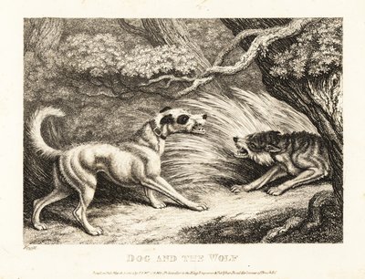Tasmalı bir ev köpeği, açlıktan ölmek üzere olan bir kurda yiyecek sunar. 1811 (gravür) by Samuel Howitt