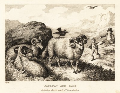 Bir karga, koçun arkasında şarkı söyler. 1811 (gravür) by Samuel Howitt