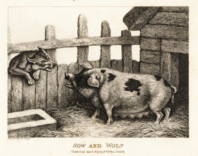 Domuz ahırındaki büyük bir domuz, bir kurda hırlıyor. 1811 (gravür) by Samuel Howitt