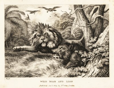 Akbabalar yukarıda daire çizerken bir aslan ve yaban domuzu kavgası. 1811 (gravür) by Samuel Howitt