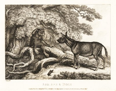 Bir maymun ve bir eşek, bir köstebek onları susturana kadar inler. 1811 (gravür) by Samuel Howitt