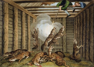 Amerikan Anekdot: Kurtları Vurmak, Matthew Dubourg (fl.1785-1820) ve sanatçı tarafından oyulmuş, Edward Orme tarafından yayınlanmış, 1813 by Samuel Howitt