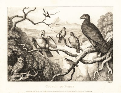 Bir kartal, bir ağaçtaki kuşların mahkemesine başkanlık eder. 1811 (gravür) by Samuel Howitt