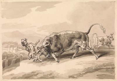 Boğa Saldıran Mastiff by Samuel Howitt