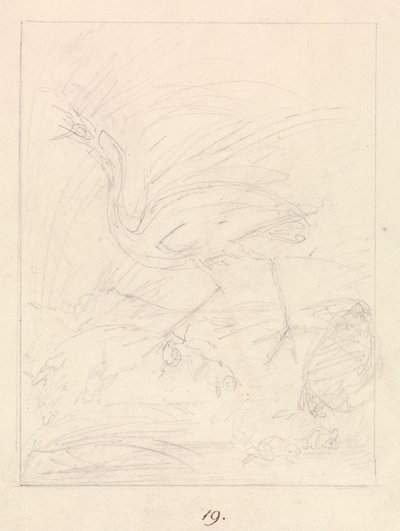 Turna ve Kurbağalar by Samuel Howitt