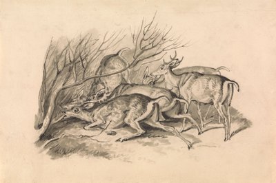 Çalılıktan Önce Geyik by Samuel Howitt