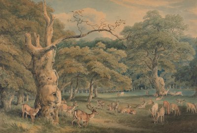 Hearne Meşesi, Windsor Ormanı by Samuel Howitt