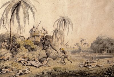 Kuttauss veya Misk Kedisi Avı, by Samuel Howitt