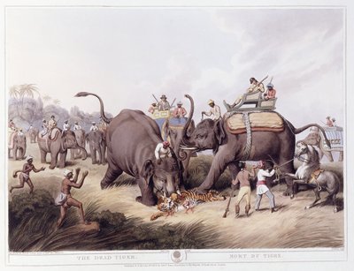 Ölü Kaplan; Kaplanın Ölümü, 1807 by Samuel Howitt