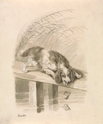 Köpek ve Gölge by Samuel Howitt