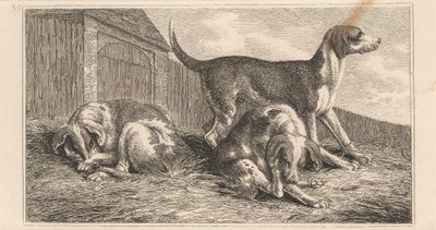 Üç köpek by Samuel Howitt