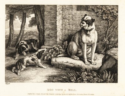Yakasında bir çan olan bir buldoğa havlayan iki İspanyol. 1811 (gravür) by Samuel Howitt