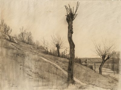 Geç kış manzarası, 1884 (devetüyü serilmiş kağıt üzerine kömür) by Samuel Isham