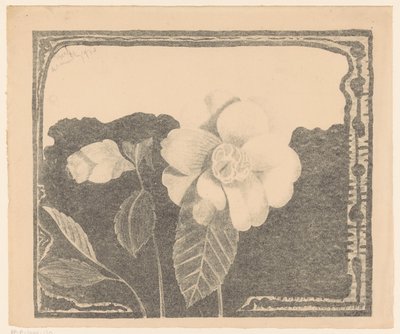 Camelia, tomurcukta çiçek bıraktı by Samuel Jessurun de Mesquita
