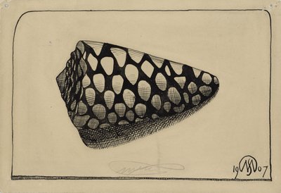 Kabuk, sağda by Samuel Jessurun de Mesquita