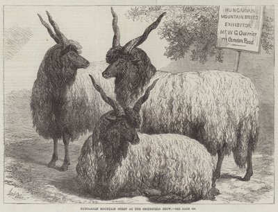 Smithfield Show