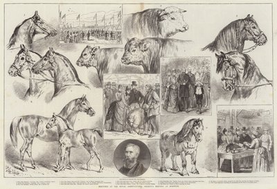 Norwich'teki Kraliyet Tarım Derneği Toplantısında Eskizler by Samuel John Carter