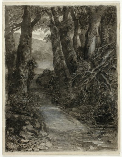 Bir Ormanlık Alan Çalışması by Samuel Palmer