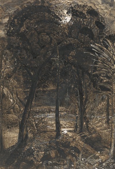 Dolambaçlı bir nehir ile mehtaplı bir sahne by Samuel Palmer