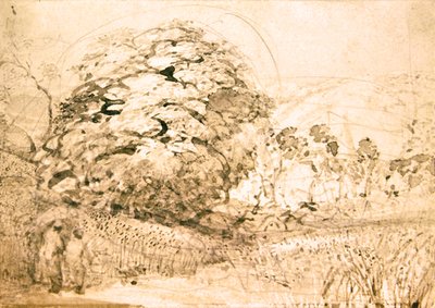 Bir mısır tarlasının içinden geçen bir yol, c.1832-33 (kağıt üzerine suluboya) by Samuel Palmer