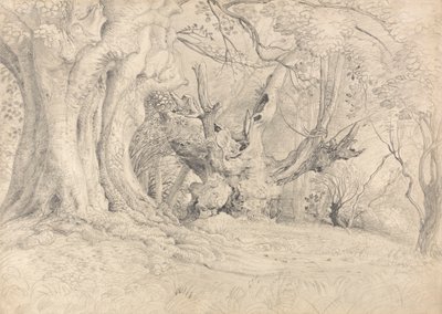 Eski Ağaçlar, Lullingstone Parkı by Samuel Palmer