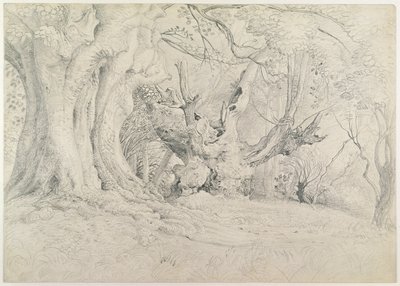 Eski Ağaçlar, Lullingstone Parkı, 1828 (kağıt üzerinde grafit) by Samuel Palmer