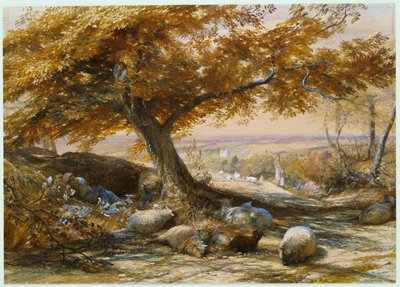 Gölgedeki Koyun, c.1851 by Samuel Palmer