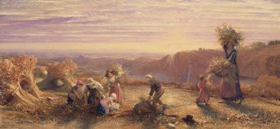 Toplama Tarlalarında Gün Batımı by Samuel Palmer