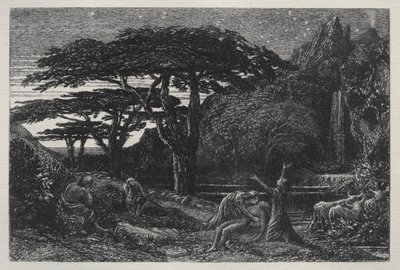 Cypress Grove, 1883. by Samuel Palmer