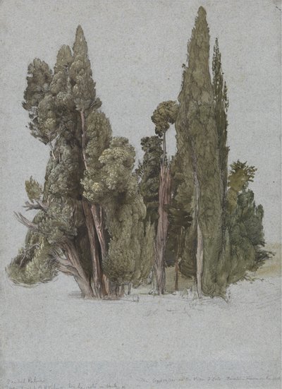 Villa d'Este, Tivoli'deki Selviler by Samuel Palmer