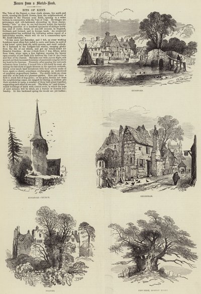 Kent parçaları by Samuel Read