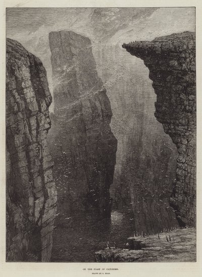 Caithness kıyısında by Samuel Read