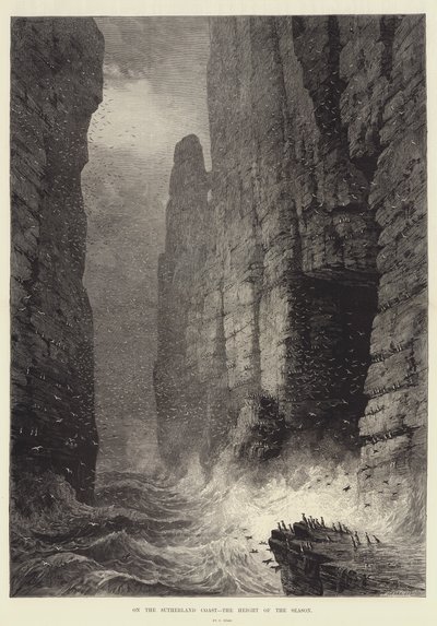 Sutherland Sahili