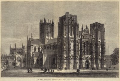 Wells