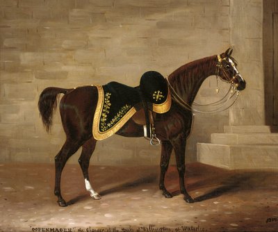 Kopenhag, Waterloo