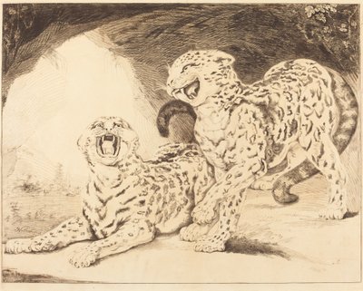 leoparlar by Samuel William Reynolds I after James Northcote
