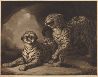 leoparlar by Samuel William Reynolds I after James Northcote