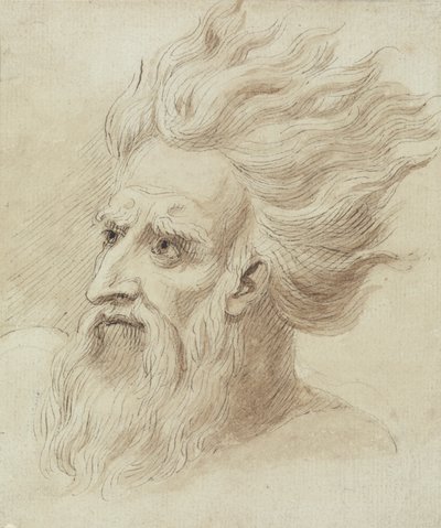 Rüzgarda Sakallı ve Uzun Saçlı Bir Adamın Başı by Samuel de Wilde