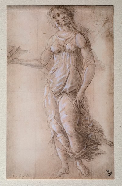 Pallas (Çizim, 1491